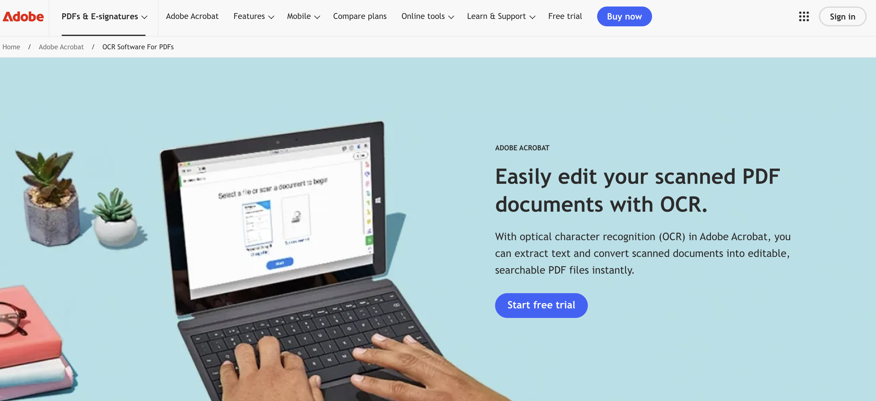 Adobe interface overview